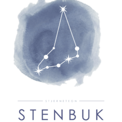 Stjernebillede plakat - Stenbuk